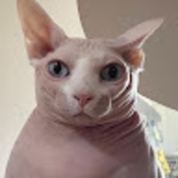 wheredjgo